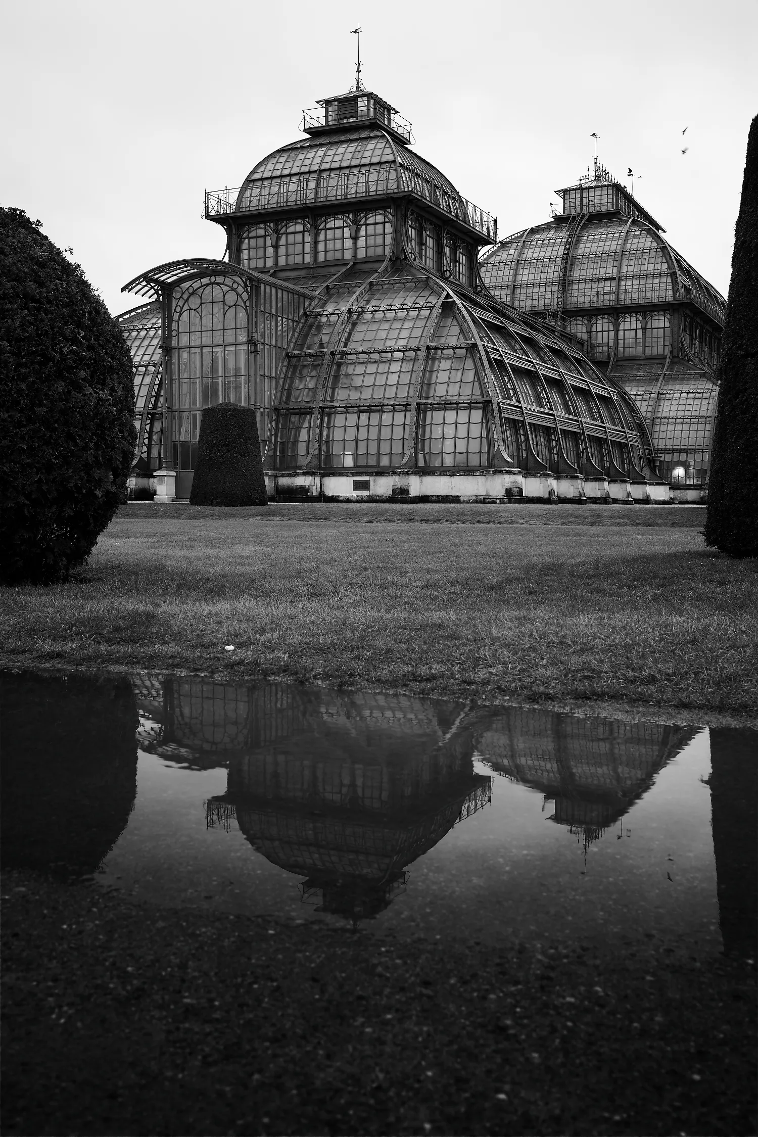 schoenbrunn palm house